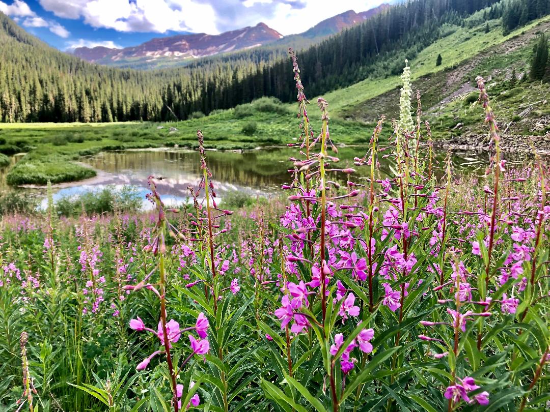 Aspen Backcountry