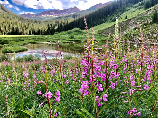 Aspen Backcountry