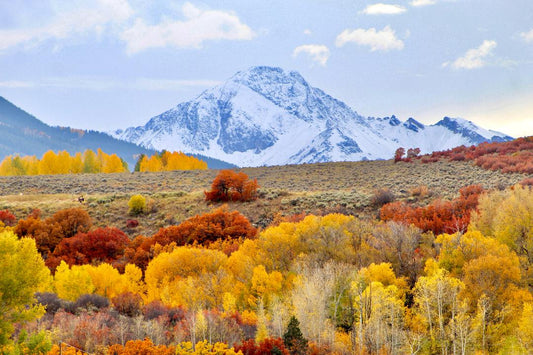 Autumn Meets Winter