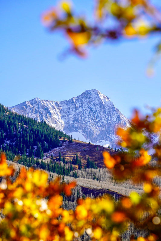 Capital Peak