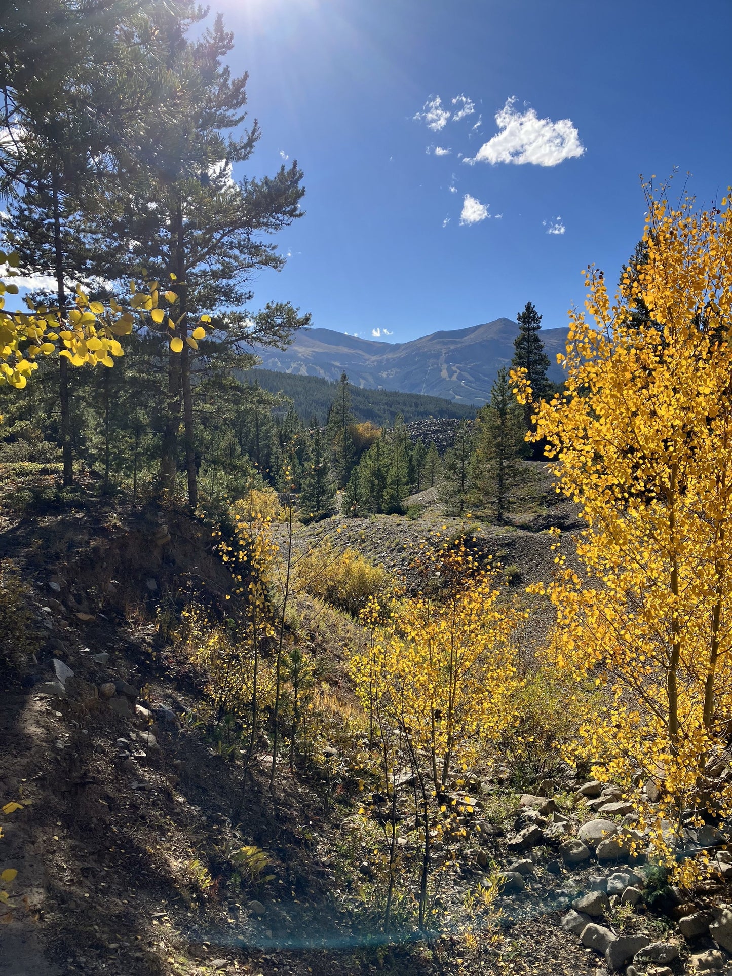 Early Fall